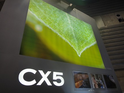  CX5